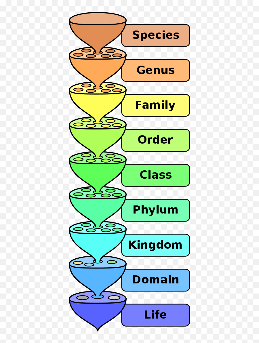 Biology - Wikiwand Basis Of Classification Class 9 Emoji,Biological Aspect Of Emotions And Diseases