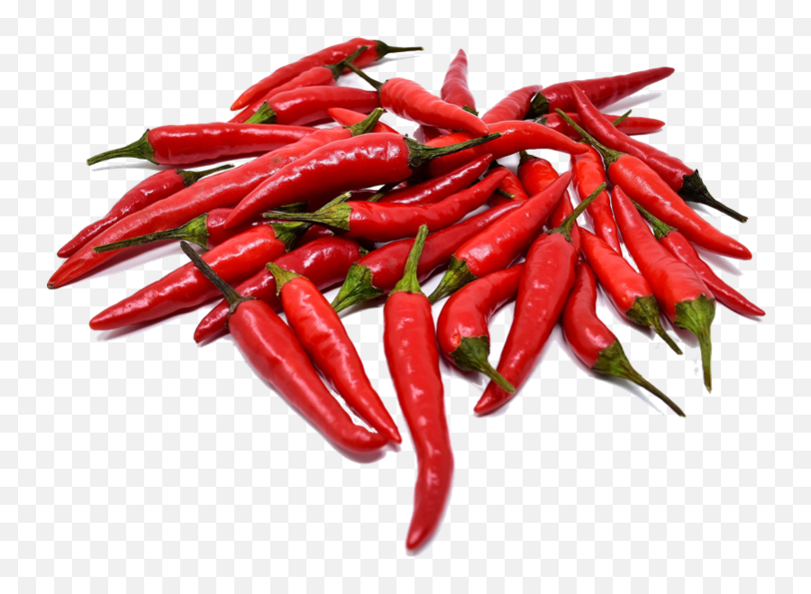Chili Pepper Png - Transparent Background Chili Pepper Png Emoji,Bowl Of Chili Emoticon