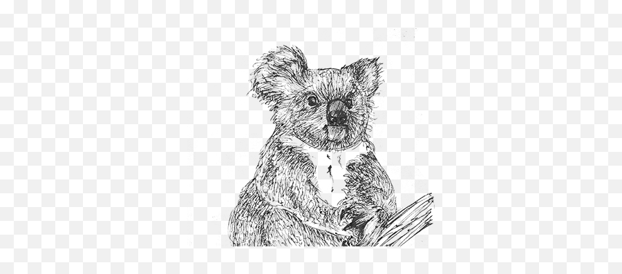 Asilo Nido Koala Projects - Soft Emoji,Greem Emoji