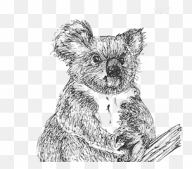 Asilo Nido Koala Projects - Soft Emoji,Greem Emoji