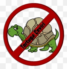 Tortuga Çeviri - Türk Fansub Takmlar Türk Anime Tv Tortoise Emoji,Nisekoi Discord Emojis