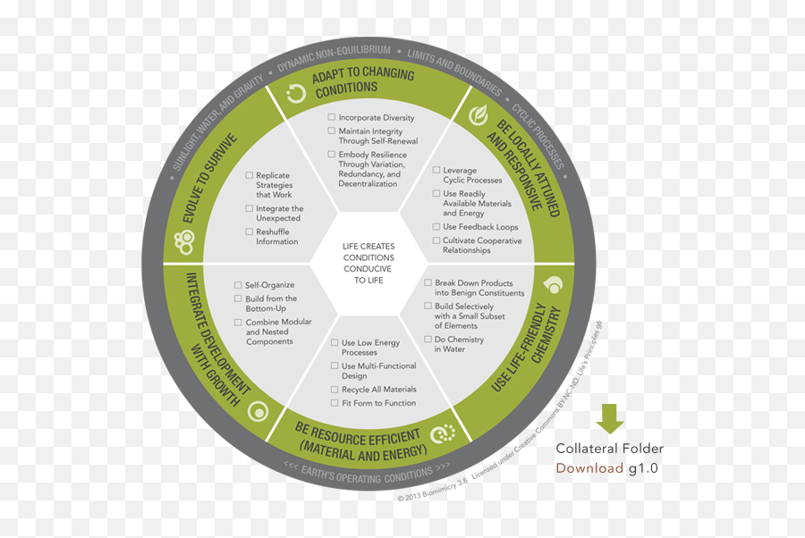 What Is Regenerative Behaviour We Talk About Regenerative - Biomimicry Net Principios De Vida Emoji,Model In Sacred Emotion Video