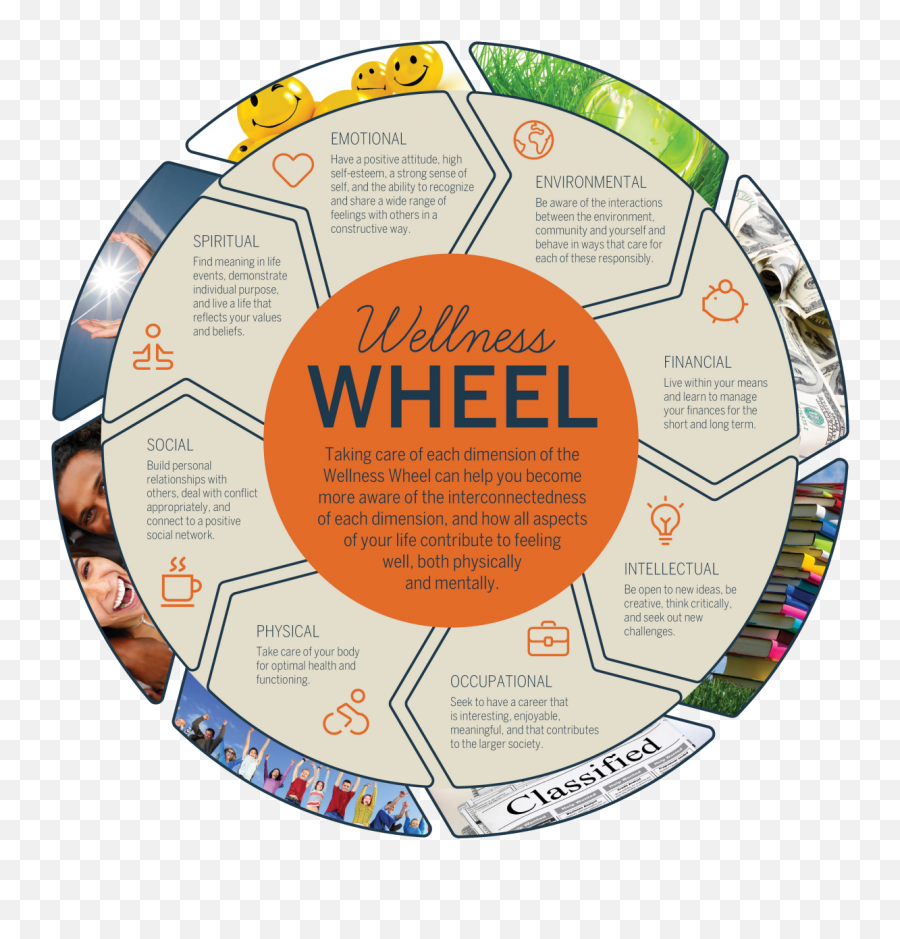 Healthy Lifestyle Wheel - Google Search Wellness Wheel Emoji,Definition Of Emotion