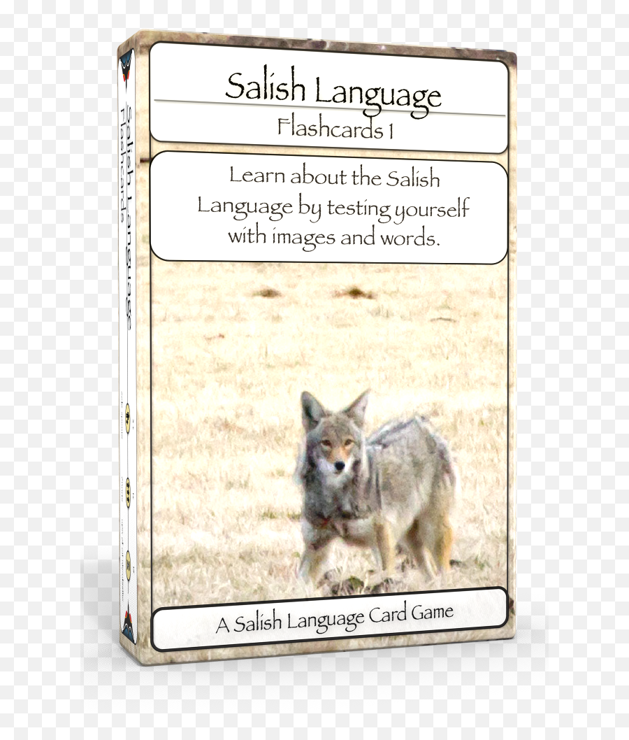 Salish Language Flashcards Level One - Photo Caption Emoji,Emotions Flash Cards