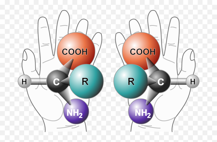 Meth Bca Chemistry - Chiral Molecules Emoji,Molecules Of Emotion