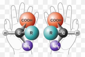 Meth Bca Chemistry - Chiral Molecules Emoji,Molecules Of Emotion