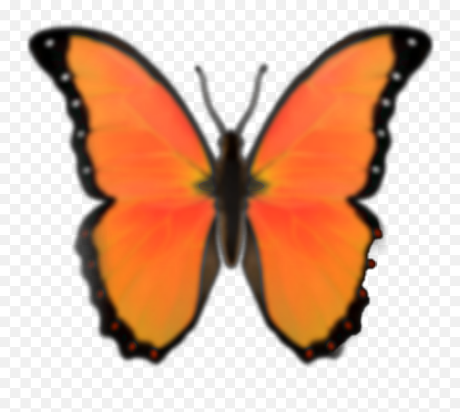 Emoji Butterfly Orange 287077558032211 By Succulentsyay,Peach Emoji Copy