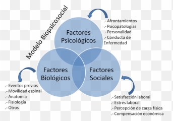 Evaluación U2013 Fisioterapia En Constante Movimiento - Factores Biopsicosociales Emoji,Qie Significa A Emotion De Un Sobre Cerrado Que Significa