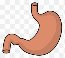 Stomach Clip Art - Clip Art Library Stomach Clipart Transparent Emoji,Abdominal Cramps Emoticon