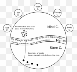 The Eight Consciousnesses Still Water Sangha Of Minnesota - Store Consciousness Buddhism Emoji,8 Emotions Diagram