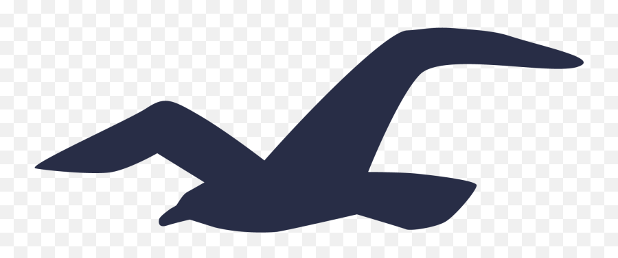 Hollister Logo And Symbol Meaning History Png - Bird Hollister Logo Emoji,Wings Emoji Copy And Paste