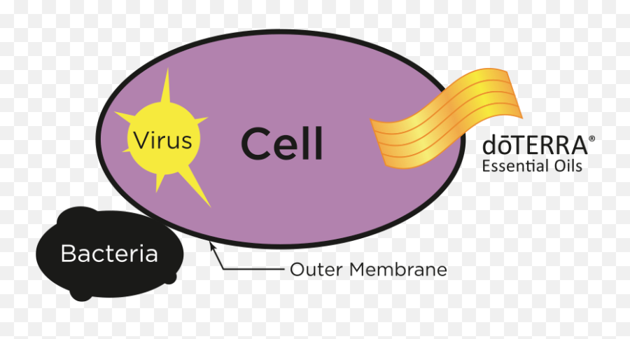 The Power Of Essential Oils - Essential Oils Cell Emoji,Emotion Code For Geranium