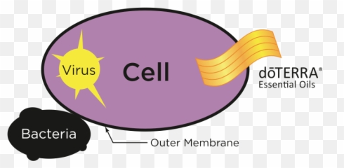 The Power Of Essential Oils - Essential Oils Cell Emoji,Emotion Code For Geranium