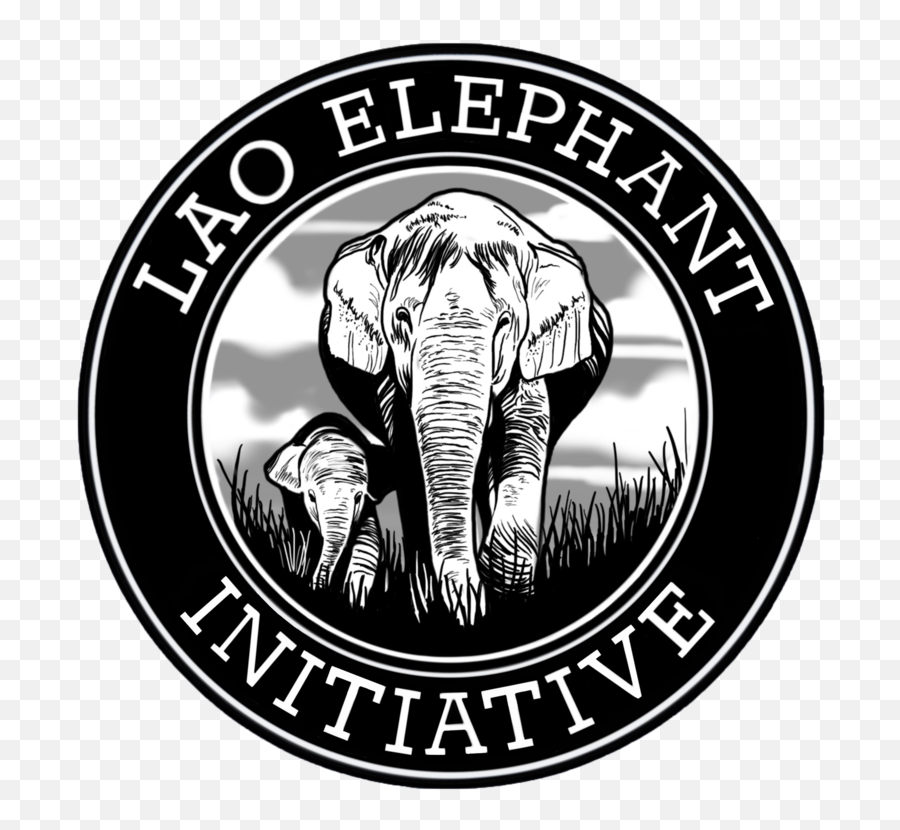 Lao Elephant Initiative - Help Feed Laosu0027 Elephants During Covid Elephant Hyde Emoji,Elephants Emotions Oregon