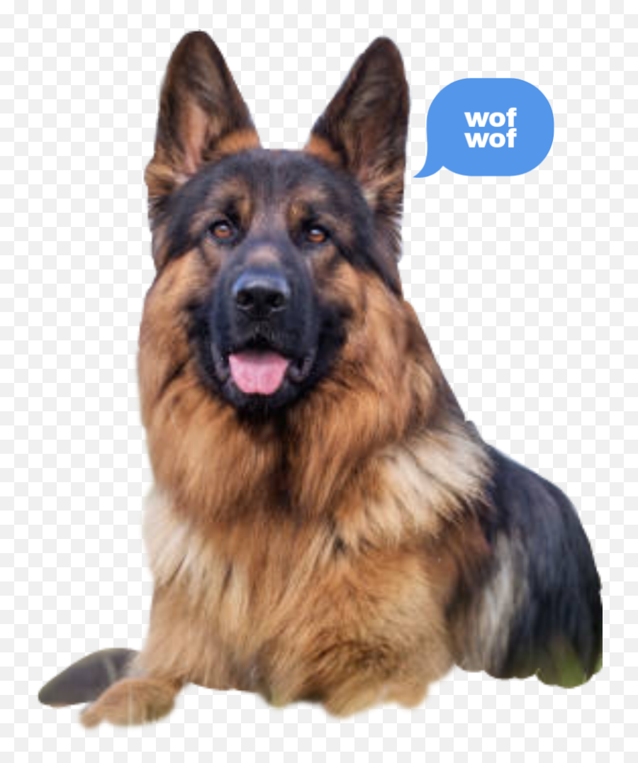 The Most Edited - Big Dog Breeds Emoji,German Shepherd Dog Barking Emoticon