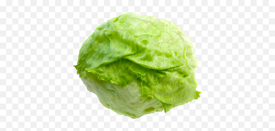 Lettuce Sandwich Butterhead Lettuce Vegetable Salad - Iceberg Lettuce Emoji,Lettuce Emoji