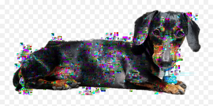 The Newest Creating Stickers On Picsart - Dog Emoji,Dachshund Emoticon