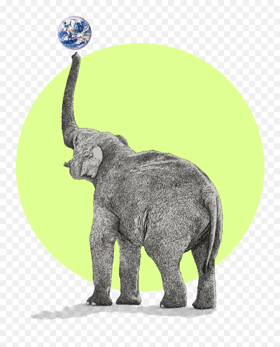 Republicans Respond To Bidenu0027s Agenda With Their Own Climate Emoji,Elephant Trunk Feeling Emotion