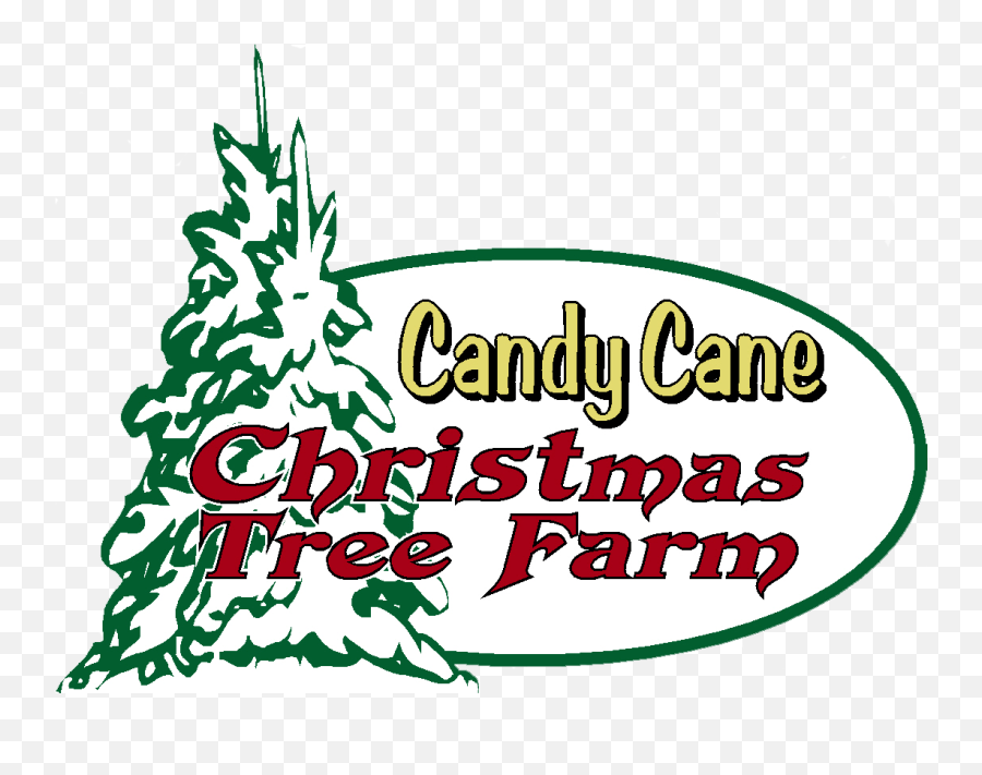 Candy Cane Christmas Tree Farm Emoji,Christmastree And Presents Emoticon Facebook