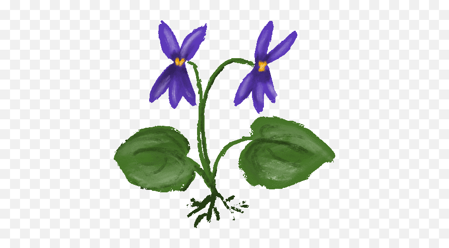 Are You Taking That On Vacation Baamboozle Emoji,Animated Flower Emojis