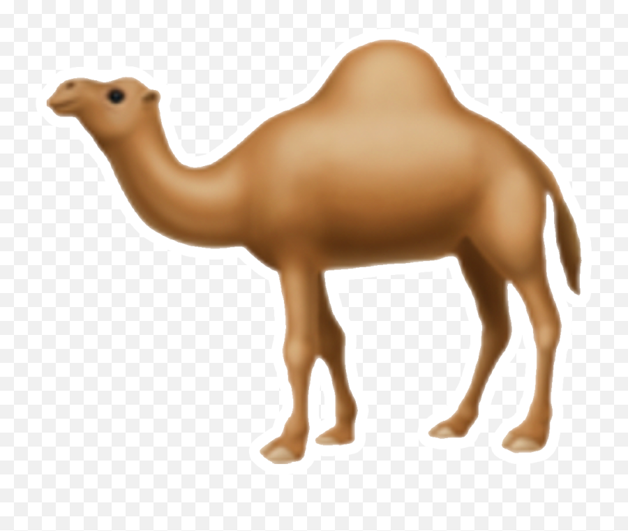 Accidental Sexting 7 Emojis That Are Actually Very Naughty,Arabia Emoji