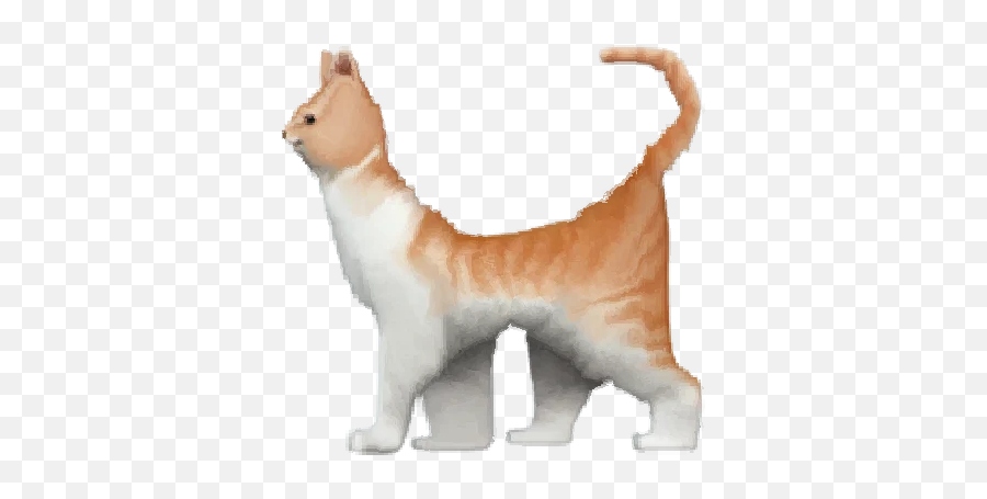 Oh No Animal Telegram Stickers Emoji,Emoticon Cat Art Full Body