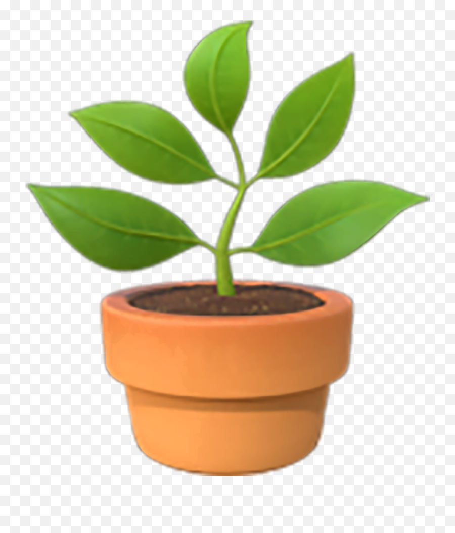 Potted Plant Emoji Copy Paste,Copy Paate Poodle Emoji