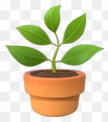 Potted Plant Emoji Copy Paste,Copy Paate Poodle Emoji