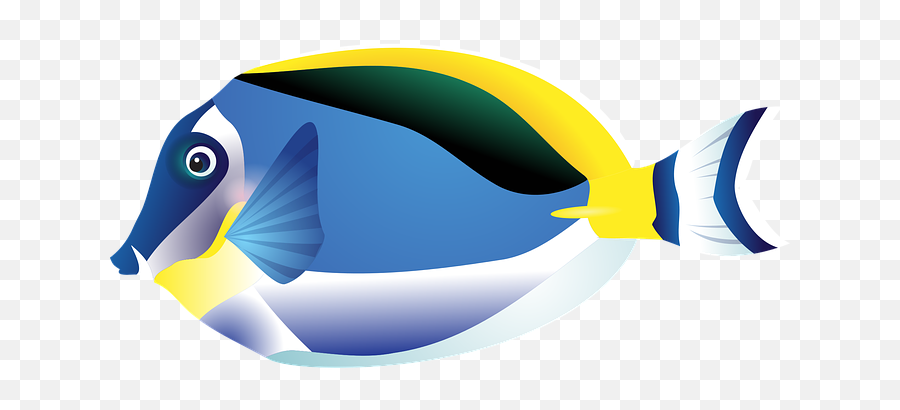 1 Free Fishing Fish Vectors - Sea Fish Clipart Emoji,Boy Fishing Pole Fish Emoji