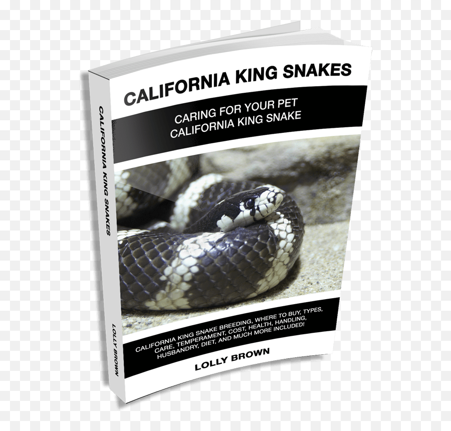 California King Snake Landing - Serpent Emoji,Ball Lythons Emotions