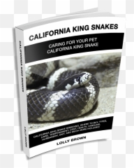 California King Snake Landing - Serpent Emoji,Ball Lythons Emotions