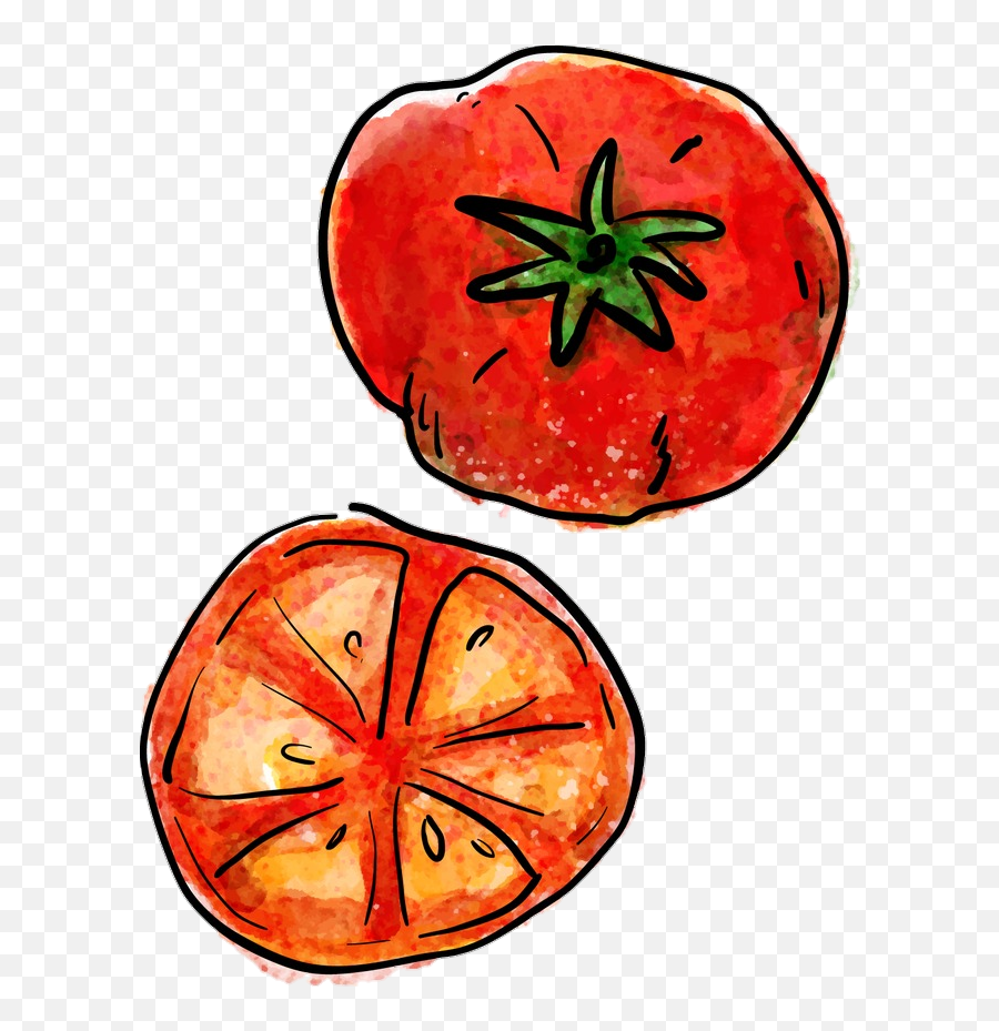 Tomato Tomatoes Sticker - Tomato Draw Png Emoji,Tomato Emoji