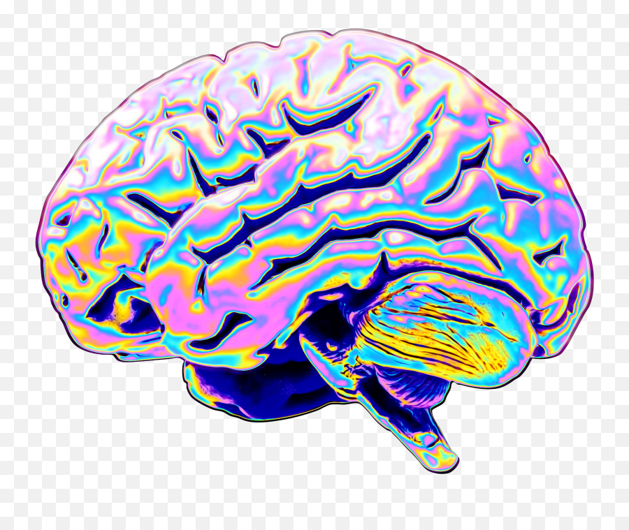 Brain Holographic Aesthetic Sticker - Parietal Lobe Of The Brain Emoji,Brain Emoji