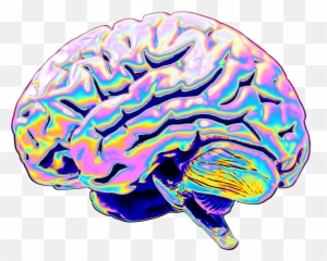 Brain Holographic Aesthetic Sticker - Parietal Lobe Of The Brain Emoji,Brain Emoji