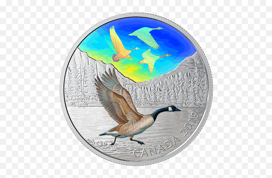 2 Oz - Canadian Goose Coin Emoji,Canadian Goose Emoticon