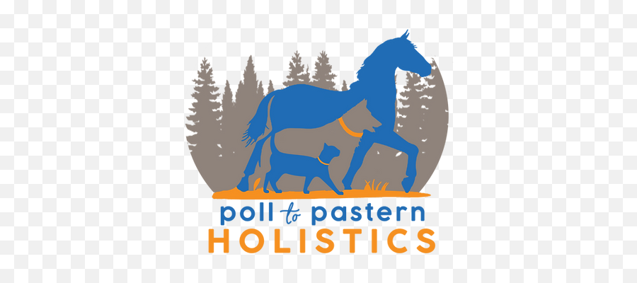 Holistic Pet Care In Charlotte Nc Poll To Pastern Holistics Emoji,Star Stable Emotions Of A Horse