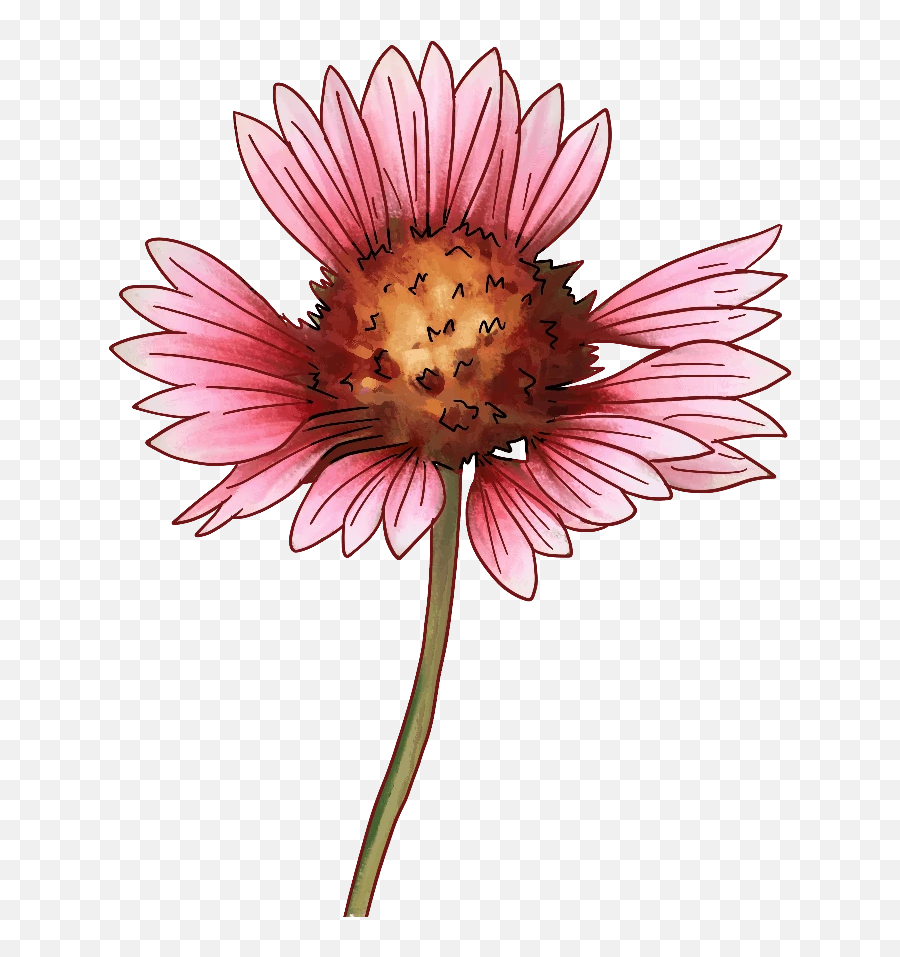 45 Types Of Pink Flowers Custom Graphics Emoji,Aesthetic Pink Flower Emoji