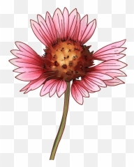45 Types Of Pink Flowers Custom Graphics Emoji,Aesthetic Pink Flower Emoji