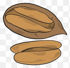 Pecan Clipart - Pecan Clipart Logo Emoji,Hazelnut Emoji