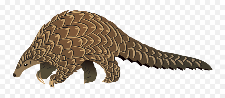 Giant Pangolin Clipart - Sloths And Anteaters Emoji,Anteater Emoji