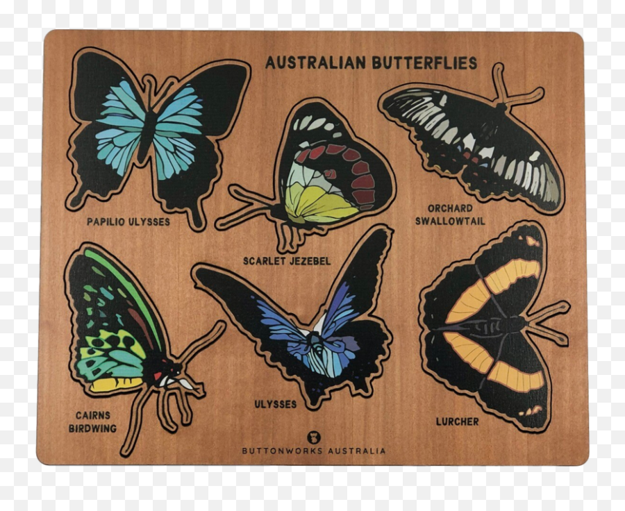 Australian Butterfly Puzzle - Swallowtails Emoji,Emotion Butterflies For Sale