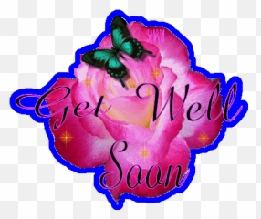 Get Well Soon Wishes Manalpasha515 - Get Well Soon Butterfly Gifs Emoji,Feel Better Soon Emoticon