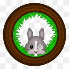Picturegame - Happy Emoji,Rabbit Emoji