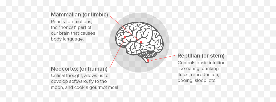 Le Langage Corporel Est Important Pour - Brain Emoji,Cerveau Gauche Emotion