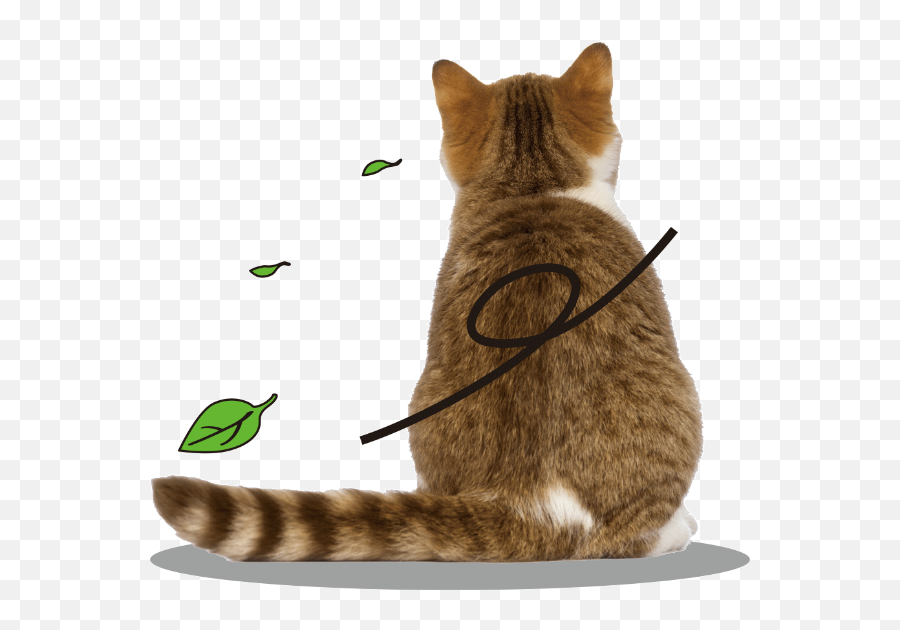 Free Cat Clip Art U0026 Customized Illustration Fotor Design Maker - Cat Not Eating Emoji,Raise Hand Cat Emoji