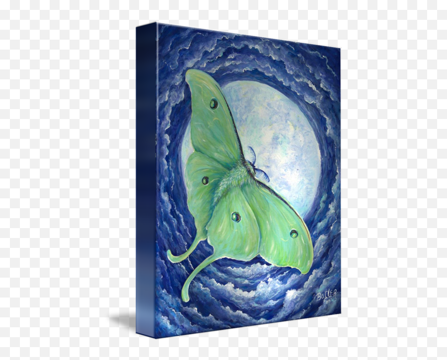 Lunar Eclipse - Picture Frame Emoji,Can Luna Moths Feel Emotions