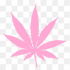 Weed Plant Vector - Pink Marijuana Leaf Png Clipart Full Pink Weed Leaf Png Emoji,Pot Smoking Emoji