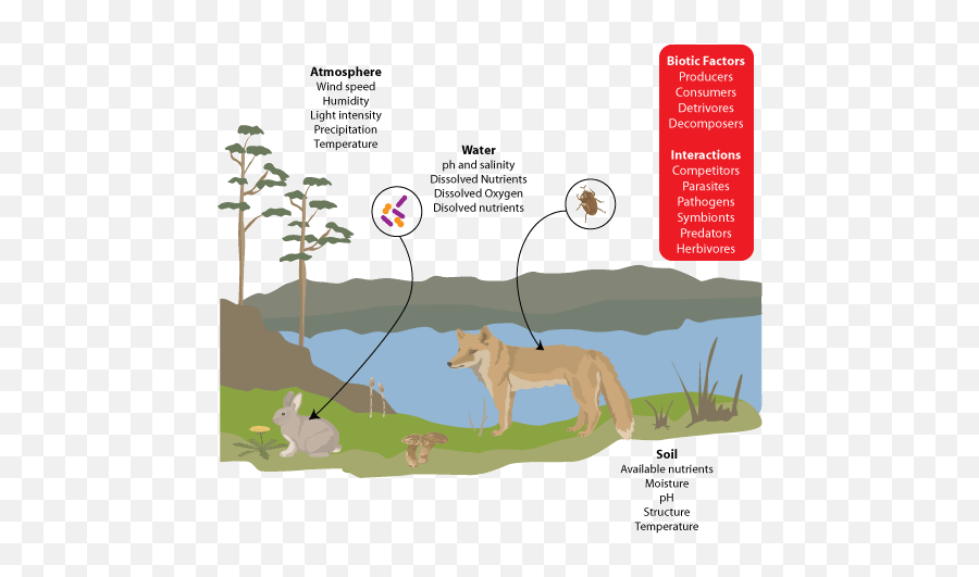 Mr - Biotic And Abiotic Interactions Examples Emoji,Bonner Emoticon