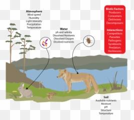 Mr - Biotic And Abiotic Interactions Examples Emoji,Bonner Emoticon