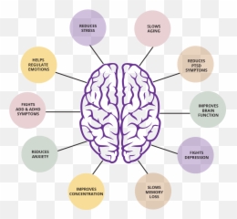 Why Meditation - Meditation Benefits For The Brain Emoji,Meditation Emotions